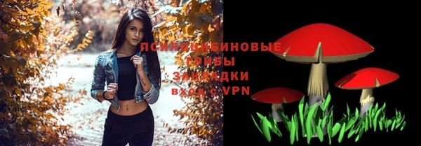 тгк Алзамай